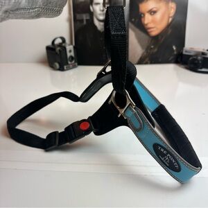 Tre Ponti Blue and Black Dog Harness